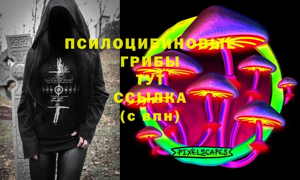 твердый Белокуриха