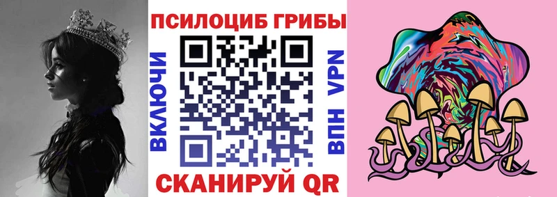 Галлюциногенные грибы мицелий  цена наркотик  Сегежа 